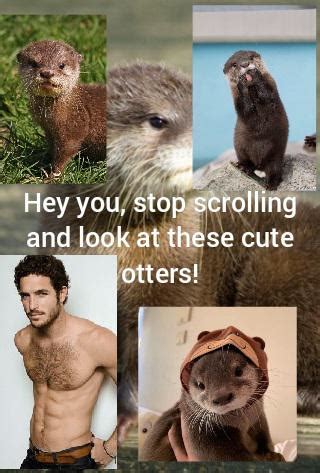 gay otter porn|Otters Gay Porn Videos .